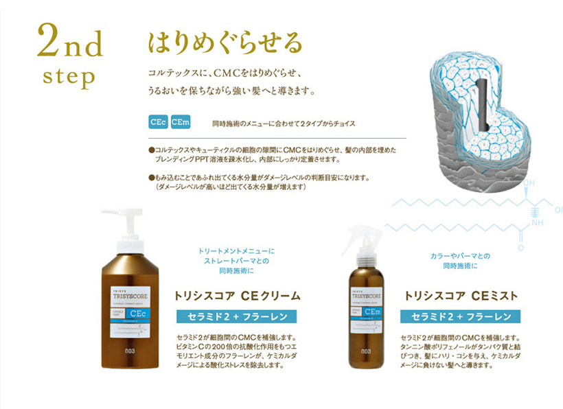 step2 毛髪再生トリートメント(トリシスコア
